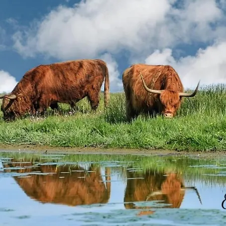 Boven Jan 574 登海尔德