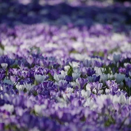 Boven Jan 574 公寓 登海尔德